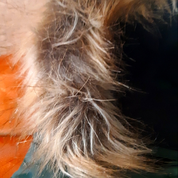 North Fetch Athletics Dog Parka - Picture 5 of 15